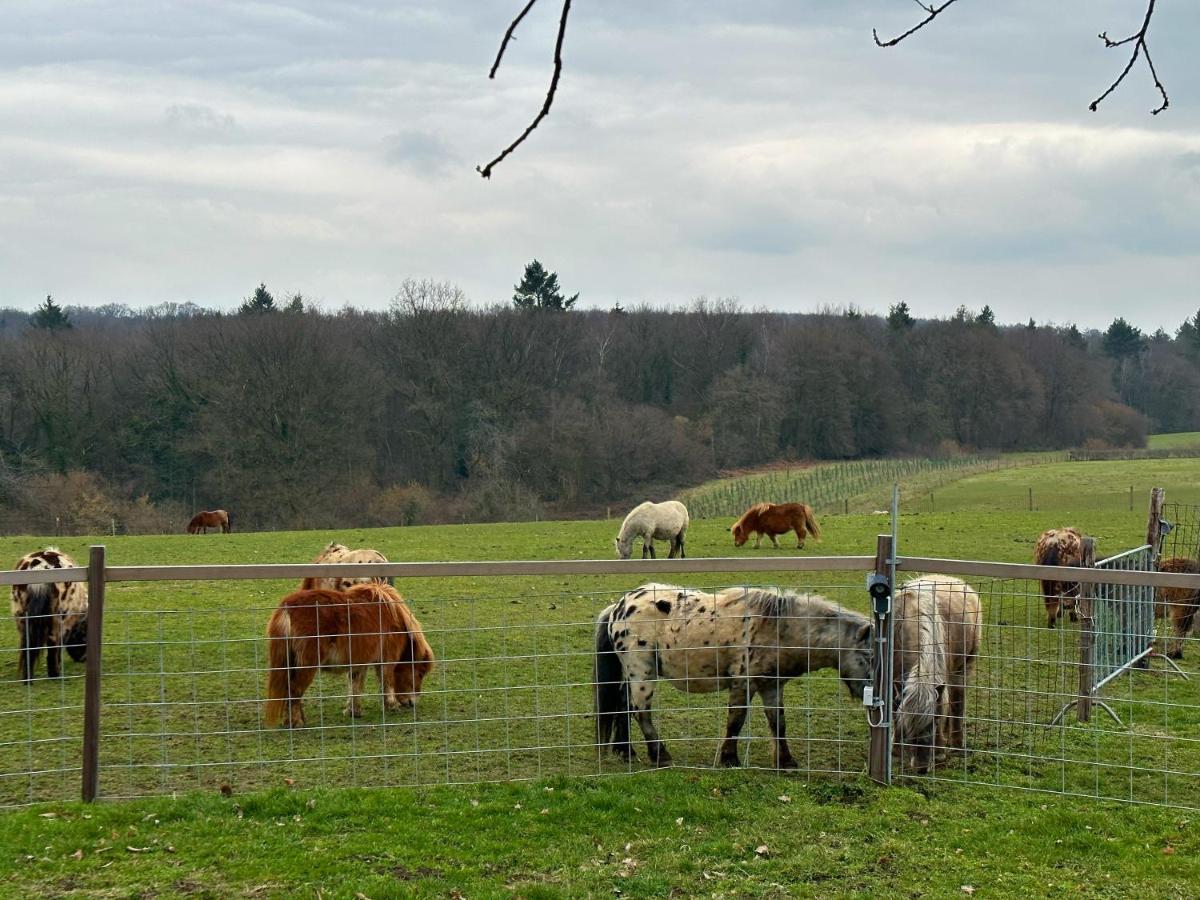 Bungalowpark Landsrade Gulpen Eksteriør billede